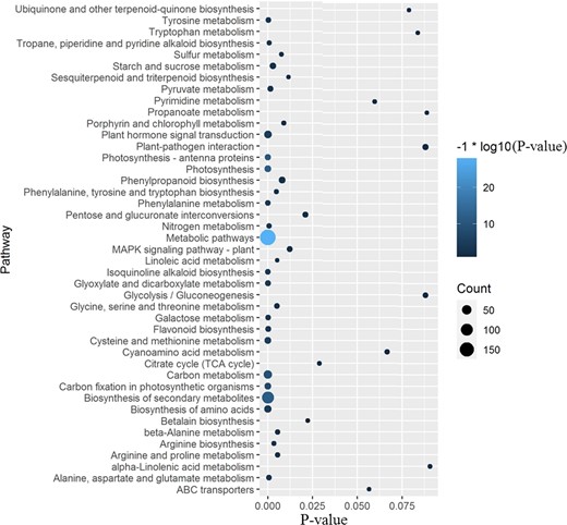 The size of the dot represents the gene count. The color represents the P-value