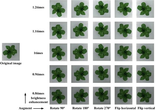 Image augmentation scheme