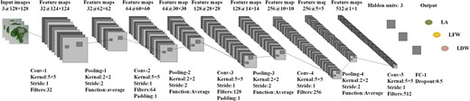 Architecture of the CNN model