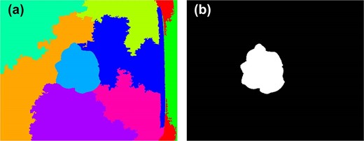 a shows the randomly colored superpixels, and b show the segmented lettuce plant