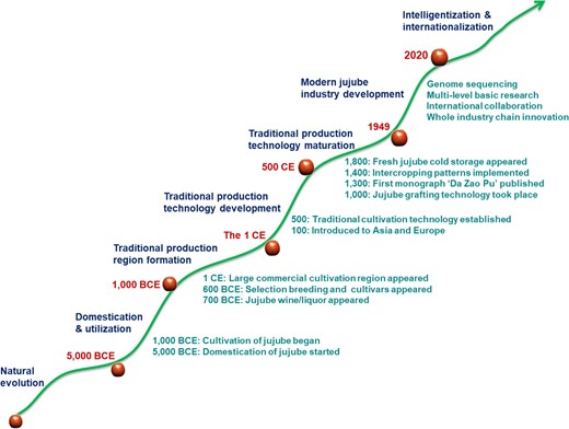 The trend of jujube industrial development and research