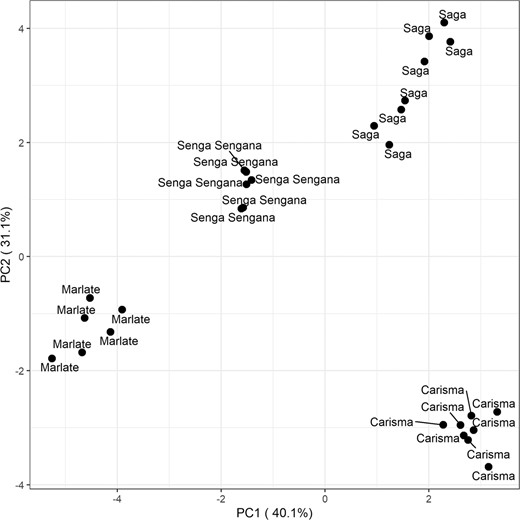The scores of the two first principal components are plotted using standardized polyphenol concentrations of the cultivars as input