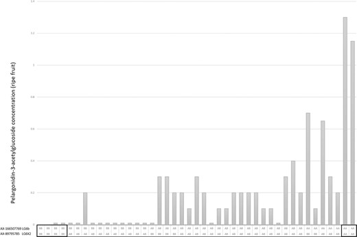 The x axis shows the genotype classes for markers AX-166507769 and AX-89795785 and the y axis shows the pelargonidin-3-O-acetylglucoside concentrations in mg 100 g−1 FW. Double homozygous genotype classes in the progeny of the two markers on LG6X2 and LG6b produced the highest and lowest concentrations of pelargonidin-3-O-acetylglucoside in the ripe fruit of the progeny