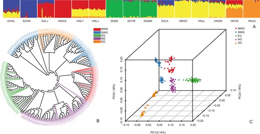 a Population genetic structure based on all SNPs estimated by ADMIXTURE analysis with K = 5. Each bar represents an individual, and the x-axis location specifies the sampling location. b The phylogenetic tree of all individuals of F. suspensa with F. viridissima and J. nudiflorum as outgroups was constructed using the neighbor-joining method in the program MEGA. c Each point represents an individual genotype, where colors distinguish groups. The amount of variation explained by PC1, PC2, and PC3 is 5.14%, 1.76% and 1.39%, respectively