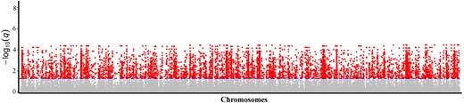 Each dot represents a SNP, and a red dot represents a SNP under selection, with a cut-off value of a posterior probability above 0.76 and q value below 0.05