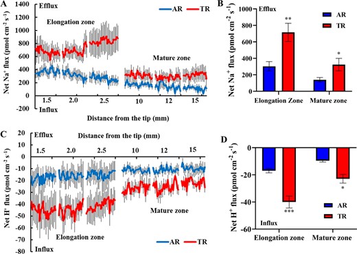 a, c Net Na+ and H+ fluxes in the ARs and TRs measured by NMT. The steady-state Na+ and H+ fluxes were measured from the elongation (1.5, 2.0, and 3.0 mm from the tip) and mature root zones (10, 12, and 15 mm from the tip) after 24 h of NaCl treatment (200 mM). n > 20 from ten individual seedlings. The standard errors of the means are represented by the bars. b, d Mean net Na+ efflux and net H+ influx rates in (a) and (b), respectively. The columns labeled with “**” and “***” indicate significant differences between the AR and TR groups at P < 0.01 and P < 0.001, respectively.