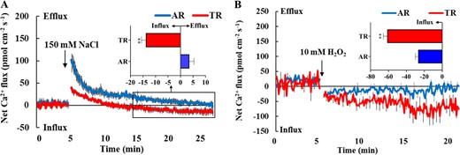 a Effects of NaCl stress (150 mM) on transient net Ca2+ flux kinetics in the elongation zone (2 mm from the tip) of the TRs and ARs. n = 9 from five individual seedlings. The columns in the insert show the mean rates of Ca2+ flux during the later period of NaCl stress (~10 min). “**” denotes significant differences at P < 0.01. b Effects of H2O2 (10 mM) on transient net Ca2+ flux kinetics in the elongation zones (2 mm from the tip) of the TRs and ARs. n = 12 from six individual seedlings. The columns in the insert show the mean Ca2+ flux rates during the H2O2 treatment (~20 min). “**” denotes significant differences at P < 0.01.