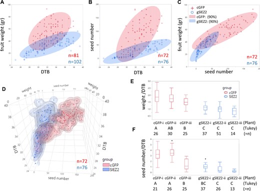 a–c Bivariate normal density ellipse plot of two groups, each consists of three stably transformed plants, of the control cGFP plants (red), and SIEZ2 plants (blue), showing the relations of fuit weight/DTB (a), seed number/DTB b, and fruit weight/seed number (c). d Three-dimensional graph of fuit showing the ratio of fruit weight to DTB (e) and seed number to DTB (f) of the individual plants within each group. Below each plot unmatching letters represent significant difference between the plants using Tukey's HSD test (α 0.01). n represents the number of fruits tested.