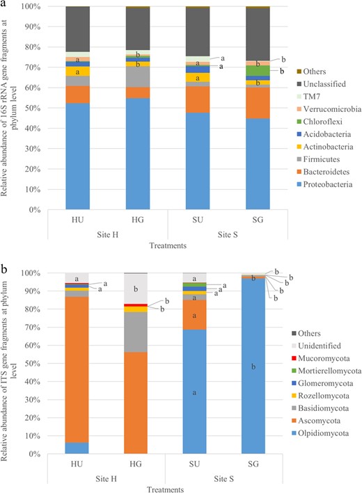 The relative abundance of dominant bacterial (a) and fungal (b) phyla (>1%) is indicated. Letters indicate significant differences between treatments within a site and phylum, t-test, p < 0.05 and n = 4 and 5 for sites H (Heidgraben) and S (Sangerhausen), respectively (a), n = 4, except for SU with n = 5 (b)