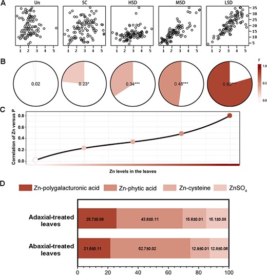 The spatial correlation between micro-XRF intensity of Zn versus P and the proportion of Zn species in leaves. (a) Scatter plot between intensity of Zn (Y-axis) and P (X-axis). (b–c) Trends of correlation coefficient (r) between intensity of Zn versus P, showing an enhanced spatial co-localization of Zn versus P in response to the increasing levels of Zn in the leaves after foliar Zn application. Asterisks indicate significant correlations by the Pearson test (***P < 0.001, *P < 0.05). (d) The proportion (% fraction) of Zn species in the apple leaf tissue after foliar Zn treatment of adaxial and abaxial leaf surfaces. Zn ligands were identified by linear combination fit (LCF) analyses of sample spectra using a combination of Zn model compounds as standard. Zn Kedge XANES recorded for Zn model compounds and samples, and the corresponding linear combination fits were shown in Fig. S5