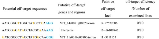 Analysis of potential off-target sites in transgenic plants