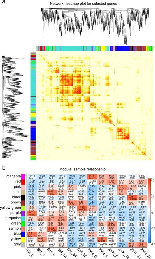 a Dendrogram of genes based on a coexpression network analysis in ‘Jinba’ and ‘Zaoyihong’. Each leaf in the tree corresponds to an individual gene. Fourteen modules, each associated with a different color, formed from the major tree branches. b Association between modules and traits. The color of each module is the same as that in a. Each column represents a leaf necrotic lesion trait. The legend indicates the correlation. Each cell contains the number of corresponding correlations and P values