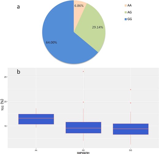 a The percentages of AA, AG, and GG. b Total catechin content in tea plants with three different SNP556781 genotypes