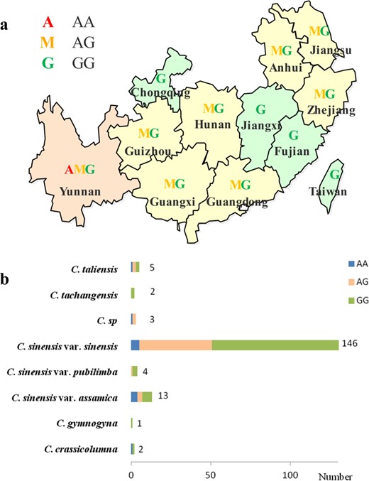 a Geographical distribution of the genotypes. b Distribution of the genotypes in different species and varieties (the number represents the sum accession of each species and variety)