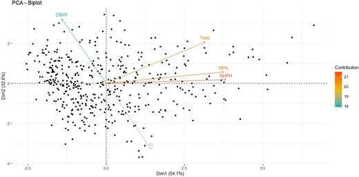 NPH = number of total pods harvested, Yield = average yield, DBW = dry bean weight of a single bean, and PI = pod index. Arrow length and direction indicate the association with a particular component, while the clustering of vectors indicates the correlation among variables