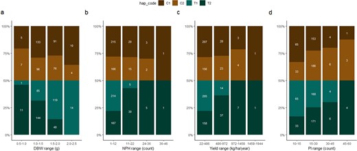 The haplotype frequencies are presented in panels (a) to (d). The phenotypic ranges of cacao yield components are shown on the x-axis, while the y-axis shows the percentages for each parental haplotype. Panels (a), (b), and (c) are for the main SNP markers on chromosome IV (Tcm004s00289192, Tcm004s00615809, and Tcm004s01127580), mapped for dry bean weight (a), the total number of pods harvested (b), and average yield (c). Panel (d) is for the main SNP marker (Tcm002s23708704) for pod index on chromosome II