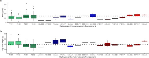 Boxplot of yield (a) and dry bean weight (b) data per haplotype in the main QTL region on chromosome IV. The trees with recombination events within the region are colored according to the parental haplotype where the recombination event occurred: non-recombinants AAG:AAA (T1:C1) and AAG:GGG (T1:C2) are colored in green; non-recombinants GGA:AAA (T2:C1) and GGA:GGG (T2:C2) are colored in dark green. Trees possessing recombination events on the maternal haplotype T1 (AGA:GGG, AAA:GGG, AAA:AAA, and AGA:AAA) are colored in dark blue. Trees possessing recombination events on the maternal haplotype T2 (GAG:AAA, GGG:AAA, GGG:GGG, and GAG:GGG) are colored in blue. Recombination events on paternal haplotype C1 (AAG:GAA, AAG:AGG, AAG:GGA, and AAG:AAG) are colored in dark red, and recombination events on C2 (GGA:GGA, GGA:GAA, and GGA:AAG) are colored in red. The dotted line represents the population average for yield and dry bean weight, respectively