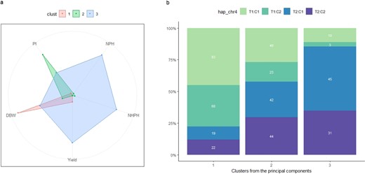 Panel (a) presents the radial charts for each cluster and five yield-related traits (DBW, NHP, NHPH, Yield, and PI), while panel (b) shows the frequency of the main haplotype on chromosome IV for each cluster