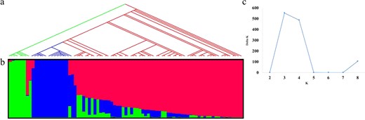 Each individual is represented by a vertical bar, reflecting assignment probabilities to each of the three groups. Group I: green bars; group II: blue bars; group III: red bars. a Phylogenetic tree based on the neighbor-joining method in MEGA 7; b plot of ΔK value with K from 2 to 10 based on Evanno test; c population structure based on mixed-model analysis using STRUCTURE software. Phylogenetic studies corresponded to population structure groups. ssp. serrata (coded as green) agreed with group I, ssp. macrophylla separated into two clades (colored as blue and red) and corresponded to group II and group III, respectively