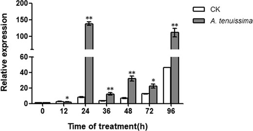 *indicates a significant difference between the treatment and control (0.01 < P < 0.05); ** indicates an extremely significant difference (P < 0.01); the same below