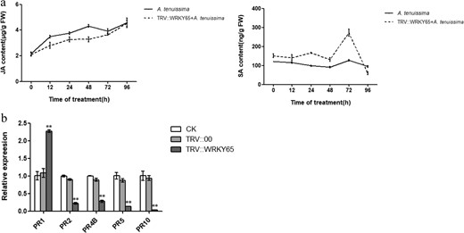 a Endogenous hormone contents in the leaves of P. lactiflora treated with A. tenuissima.b Expression of pathogenesis-related genes in the control and gene-silenced leaves