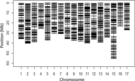 Distribution of the final set of over 6000 SNPs across 17 chromosomes of apple genome