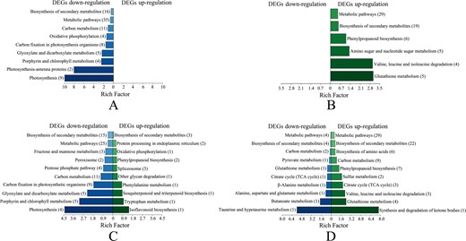 a DEPs downregulated in N6−R/N6−S; b DEPs upregulated in N6−R/N6−S; c DEPs downregulated in N6+R/N6+S; d DEPs upregulated in N6+R/N6+S