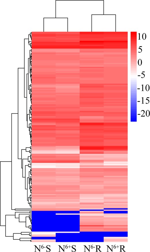 Cluster analyses of identified genes involved in theanine metabolism