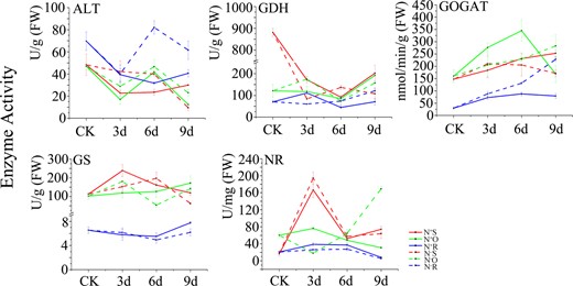 Dynamic changes in the activity of enzymes involved in theanine metabolism