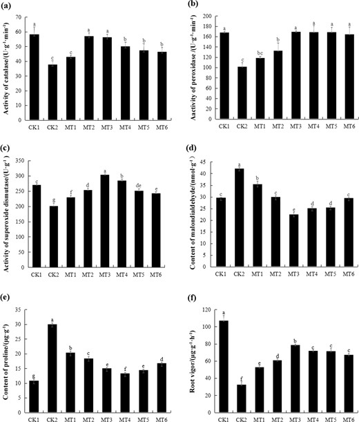 a Effect of melatonin on the activity of catalase (CAT) in melon. b Effect of melatonin on the activity of peroxidase (POD) in melon. c Effect of melatonin on the activity of superoxide dismutase (SOD) in melon. d Effect of melatonin on the content of malondialdehyde (MDA) in melon. e Effect of melatonin on the content of proline in melon. f Effect of melatonin on the root vigor in melon. CK1 non-stressed seeds pretreated with water, CK2 300 μmol/L CuSO4-stressed seeds pretreated with water, MT1–MT6 300 μmol/L CuSO4-stressed seeds pretreated with 10, 50, 100, 300, 500, or 800 μmol/L melatonin, respectively