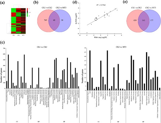 a Hierarchical clustering of DEGs induced by melatonin. b Venn diagram of DEGs. c Summary of Gene Ontology (GO) categories of the DEGs. d Relationship between RNA-seq and quantitative real-time PCR (Q-PCR) expression data (log2 fold change) (R2 = 0.7762). e Venn diagram of DEMs. CK1 non-stressed seeds pretreated with water, CK2 300 μmol/L CuSO4-stressed seeds pretreated with water, MT3 300 μmol/L CuSO4-stressed seeds pretreated with 100 μmol/L melatonin