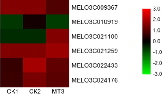 CK1 non-stressed seeds pretreated with water, CK2 300 μmol/L CuSO4-stressed seeds pretreated with water, MT3 300 μmol/L CuSO4-stressed seeds pretreated with 100 μmol/L melatonin