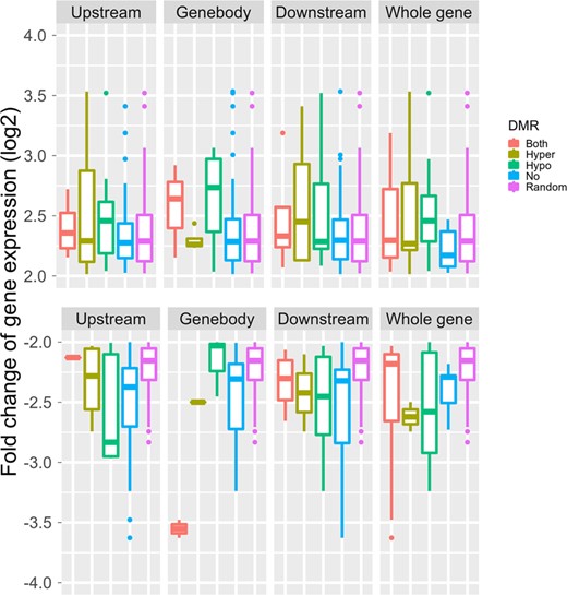 Boxplot depicting log2-fold change in differentially expressed genes (≥4-fold change) and their DMRs in each and whole gene region. A group of randomly selected genes is also shown (random)