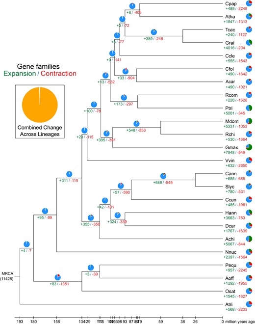 The green number indicates the number of expanded gene families, while the red number indicates the number of contracted gene families.