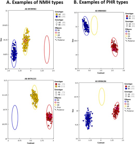 Examples of cluster diagrams of the (a) no minor homozygote (NMH) and (b) PolyHighResolution (PHR) types. Each diagram represents a different marker, and each colored dot (circle or triangle) represents an individual plant. For NMH marker AX-89789983 (a, top), plants with blue or yellow dots were coded by the Axiom Analysis Suite software as genotypes 2 or 1, respectively. For NMH marker AX- 89791223 (a, bottom), plants with yellow or red dots were coded as 1 or 0, respectively. For PHR markers AX-89844603 (b, top) and AX-89906286 (b, bottom), plants with blue or red dots were coded as 2 or 0, respectively