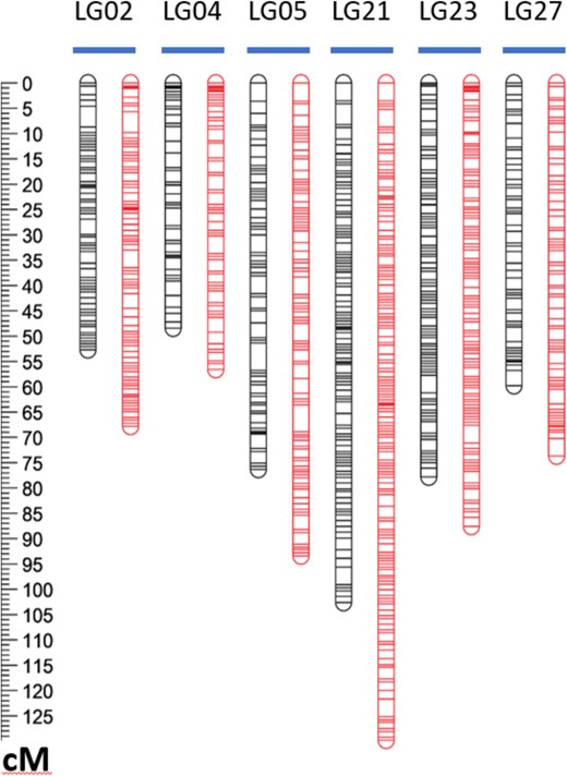 For each linkage group pair, the version on the left (black) is calculated with the segregation data from the HypR chromosome excluded, as done in the canonical map (Fig. 2), while the version on the right (red) is calculated with the segregation data from the HypR chromosome included
