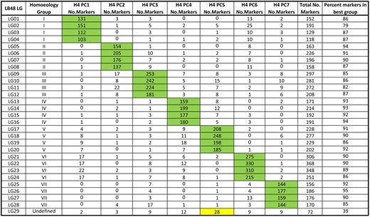 Assignment of linkage groups to homoeology groups