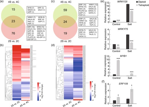 a–d Venn diagrams and corresponding heatmaps for salt-induced TFs in the leaves (a, b) and roots (c, d) of diploids and tetraploids. The numerals inside the Venn circles indicate the number of differentially expressed TF genes in each comparison. The subfamilies are shown on the right, and the number of TFs in each subfamily is shown in parentheses. e, f Relative expression levels of three TF genes in leaves (e) and one TF gene in roots (f), as revealed by qPCR. Error bars indicate SE (n = 3). Asterisks indicate significant differences between the diploids and tetraploids (*P < 0.05; **P < 0.01; ***P < 0.001)