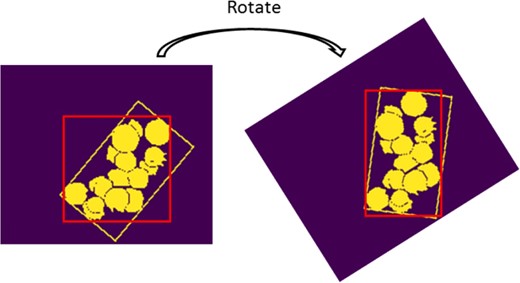 The yellow circles are the blueberry masks. The yellow rectangle is the minimum bounding box, the red rectangle is the regular bounding box whose sides are always horizontal or vertical.