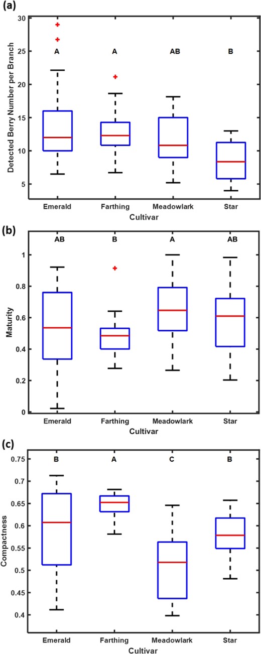 a Total blueberry number within each branch. b Maturity. c Compactness. Two cultivars with the same letter means they are in the same group without significant differences in that trait. The red plus symbol represents the outliers of the dataset.