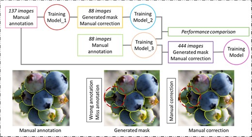 137 and 88 images were manual annotated, the annotation of another 444 images were generated by Model_3 with manual correction. The final Training Model was used to segment blueberries on four cultivars.