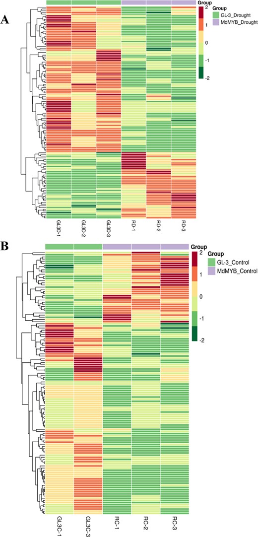 Heat map of differentially regulated metabolites in GL-3 and MdMYB88/124 RNAi plants under long-term drought stress conditions (a) and control conditions (b)