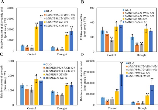 Content of chlorogenic acid (a), SA (b), quercetin (c), and catechinic acid (d) in the leaves under control and long-term drought stress conditions. The data are the means ± SDs (n = 3). One-way ANOVA (Tukey test) was performed, and statistically significant differences are indicated by *(P < 0.05) and **(P < 0.01)