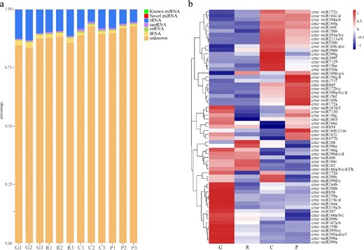 a Annotation of Small RNA unique reads of the twelve libraries. b Expression profile and clustering of conserved miRNAs. Alphabet behind miRNA indicates the homolog of miRNA that has the same mature miRNA sequence. G growth stage, R ripening stage, C climacteric stage, P postclimacteric stage