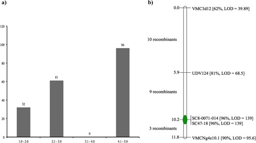 a Distribution of the powdery mildew disease evaluation for 189 seedlings from the three F1 populations. b Local genetic map of accession ‘DVIT3351.27’with five markers from chromosome 13. The QTL analysis identified major locus that explains up to 96% variation at marker position SC8–0071-14/SC47–18 with LOD threshold of 139