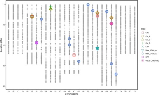 Horizontal grey lines represent iStraw-35k axiom array markers