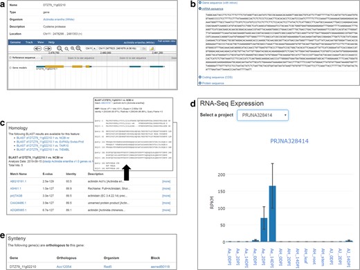 The page contains different sections with different content types, including (a) overview of information for the gene (gene position, structure, and functional annotation), (b) gene/mRNA/protein sequences, (c) homologous genes and sequence alignments generated by BLAST, (d) RNA-Seq expression profiles, and (e) synteny blocks related to the gene
