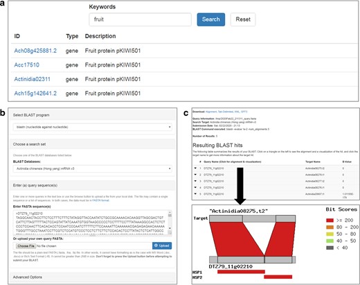 a List of genes returned from a global search using a keyword. b Interface of the homology search (BLAST) implemented in KGD. c Result page of the homology search. The bottom image illustrates the alignment of query and subject sequences