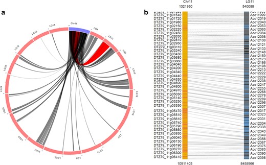 a Syntenic blocks displayed in a Circos plot. The blue arc indicates the query chromosome, and the red arcs indicate the chromosomes of the compared genome. Gray lines between blue and red arcs indicate syntenic blocks identified between the two genomes. The lines of a syntenic block will become red when the user mouses over it. b Detailed view of a specific synteny block. The query and compared chromosomes of a specific synteny block are shown in orange and blue, respectively. The yellow and black lines within each chromosome indicate homologous gene pairs, which are connected by gray lines
