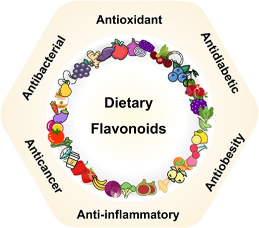 Health-promoting bioactivities of flavonoids in horticultural crops.